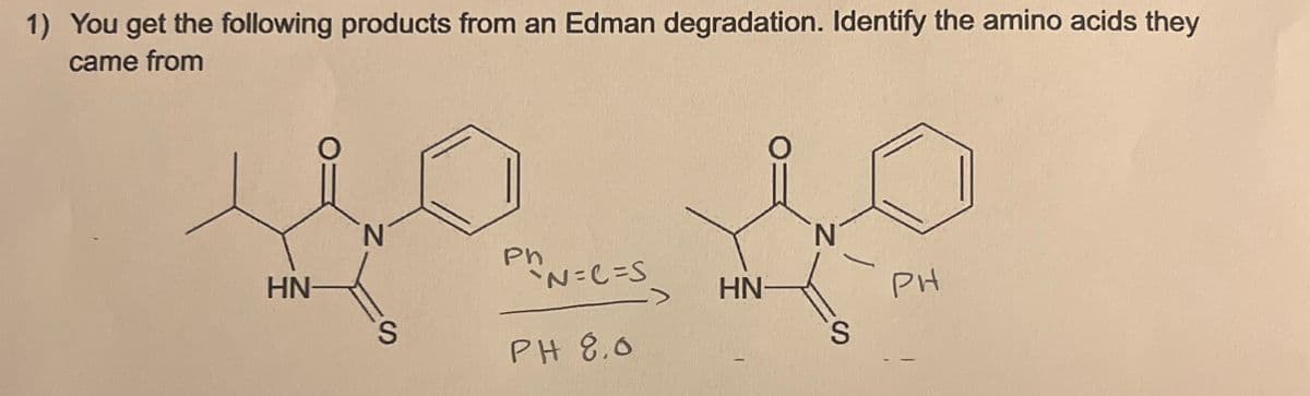 1) You get the following products from an Edman degradation. Identify the amino acids they
came from
N
མི་ཚེས་༠་
HN
Ph
'N=C=S
PH 8,0
HN
N
PH
