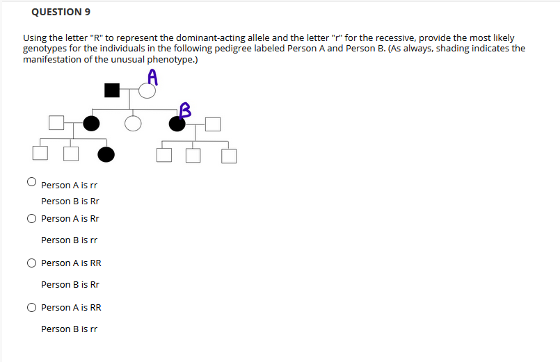 QUESTION 9
Using the letter "R" to represent the dominant-acting allele and the letter "r" for the recessive, provide the most likely
genotypes for the individuals in the following pedigree labeled Person A and Person B. (As always, shading indicates the
manifestation of the unusual phenotype.)
Person A is rr
Person B is Rr
Person A is Rr
Person B is rr
Person A is RR
Person B is Rr
O Person A is RR
Person B is rr
