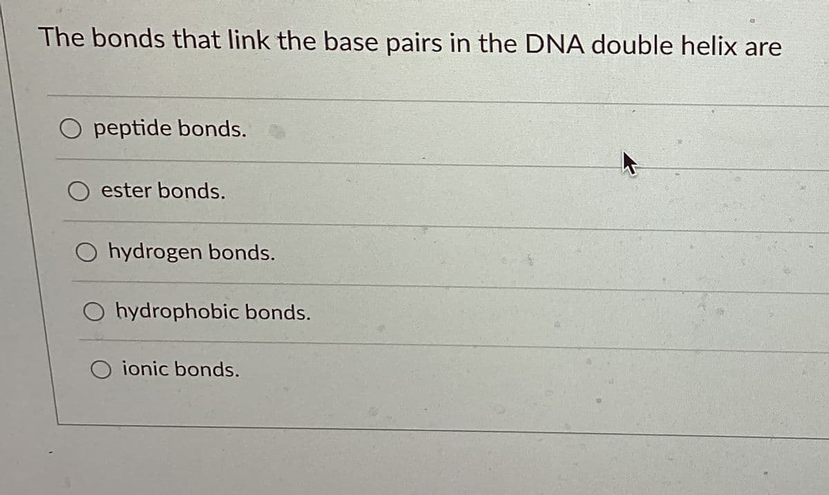 The bonds that link the base pairs in the DNA double helix are
O peptide bonds.
ester bonds.
O hydrogen bonds.
O hydrophobic bonds.
ionic bonds.