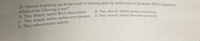 20. Genome imprinting can be the result of silencing genes by methylation of promoter DNA sequences.
Which of the following is true?
A. They directly inhibit RNA transcription.
B. They directly inhibit protein translation.
C. They directly inhibit nuclear pore transport. D. They directly inhibit ribosome assembly
E. They reduce protein stability.