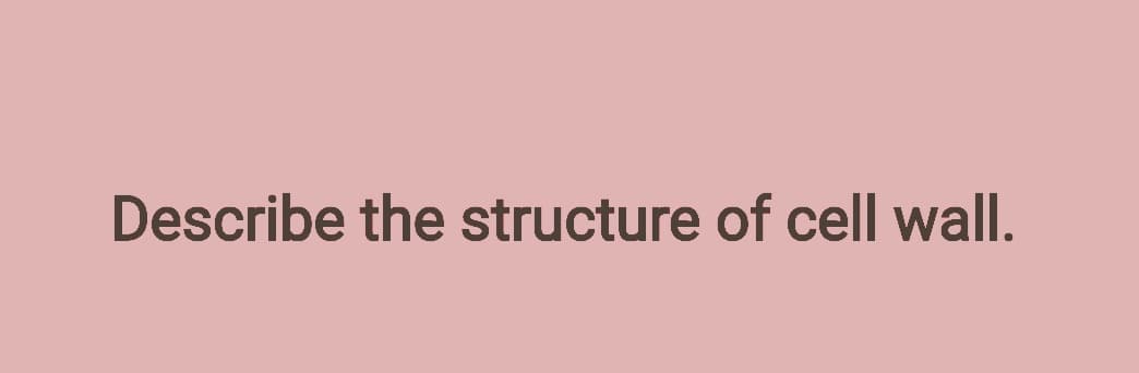 Describe the structure of cell wall.
