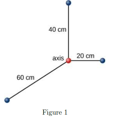 40 cm
20 cm
axis
60 cm
Figure 1
