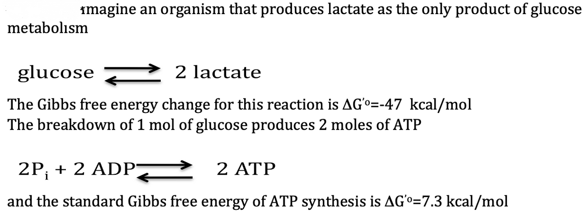 imagine an organism that produces lactate as the only product of glucose
metabolism
glucose
2 lactate
The Gibbs free energy change for this reaction is AG'o=-47 kcal/mol
The breakdown of 1 mol of glucose produces 2 moles of ATP
2P; + 2 ADP
2 ATP
and the standard Gibbs free energy of ATP synthesis is AGo=7.3 kcal/mol
