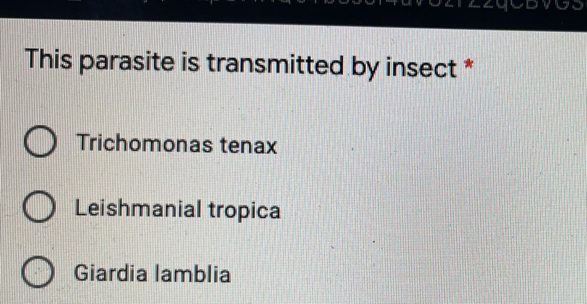 This parasite is transmitted by insect
Trichomonas tenax
Leishmanial tropica
O Giardia lamblia
