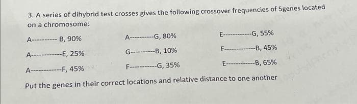 3. A series of dihybrid test crosses gives the following crossover frequencies of 5genes located
on a chromosome:
A---------- B, 90%
A-----G, 80%
E--------G, 55%
A----------E, 25%
G--------B, 10%
F----------B, 45%
A------------F, 45%
F--------G, 35%
E----------B, 65%
Put the genes in their correct locations and relative distance to one another
