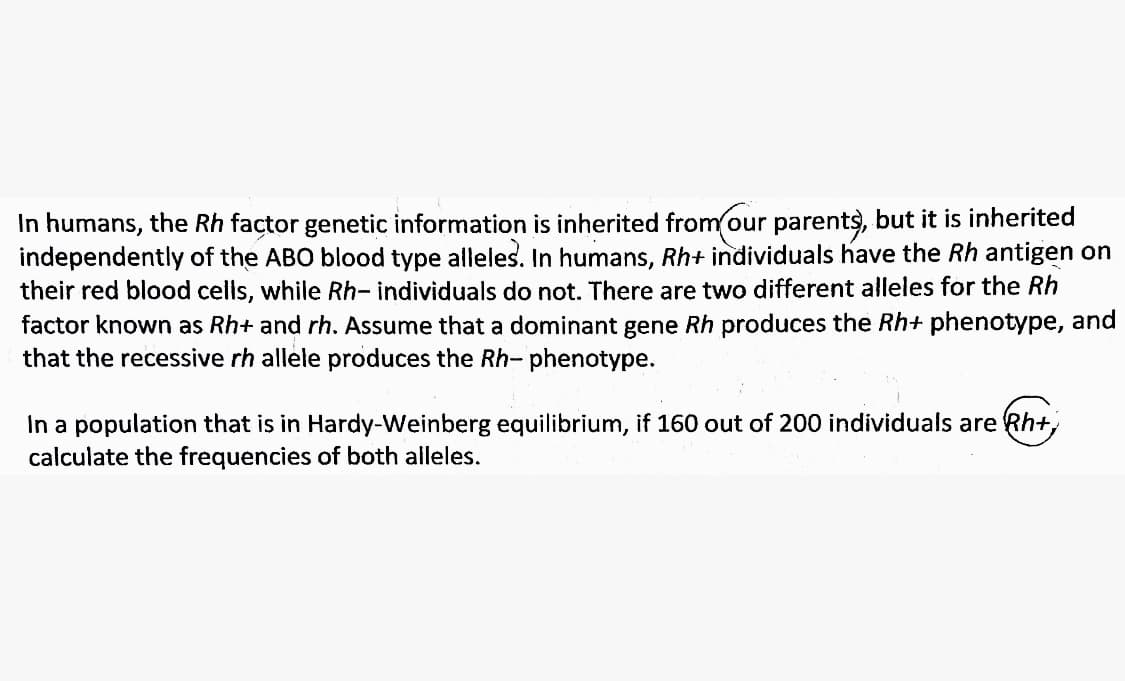 In humans, the Rh factor genetic information is inherited from our parents, but it is inherited
independently of the ABO blood type alleles. In humans, Rh+ individuals have the Rh antigen on
their red blood cells, while Rh- individuals do not. There are two different alleles for the Rh
factor known as Rh+ and rh. Assume that a dominant gene Rh produces the Rh+ phenotype, and
that the recessive rh allele produces the Rh- phenotype.
In a population that is in Hardy-Weinberg equilibrium, if 160 out of 200 individuals are Rh+,
calculate the frequencies of both alleles.
