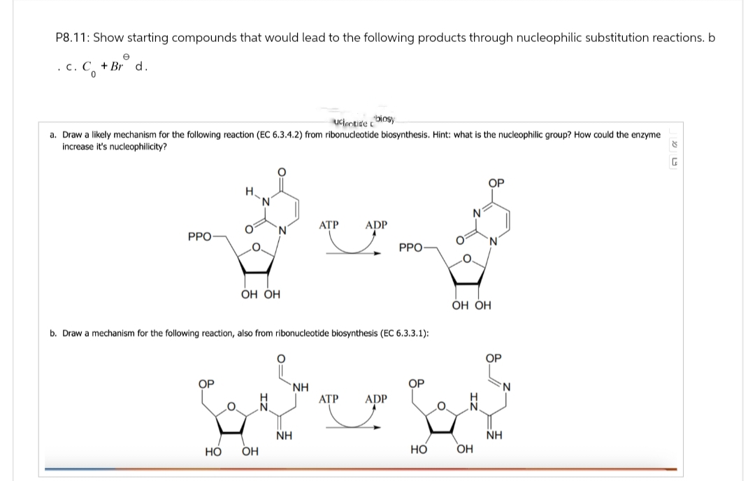 P8.11: Show starting compounds that would lead to the following products through nucleophilic substitution reactions. b
c. C +Br d.
.
0
ucleotide biosy
a. Draw a likely mechanism for the following reaction (EC 6.3.4.2) from ribonucleotide biosynthesis. Hint: what is the nucleophilic group? How could the enzyme
increase it's nucleophilicity?
PPO
OH OH
ATP
ADP
PPO
b. Draw a mechanism for the following reaction, also from ribonucleotide biosynthesis (EC 6.3.3.1):
OP
NH
ATP
ADP
NH
HO
OH
OH OH
OP
NH
HO
OH
Ν
G