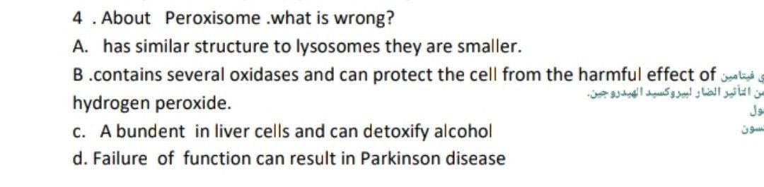 4 . About Peroxisome .what is wrong?
A. has similar structure to lysosomes they are smaller.
B.contains several oxidases and can protect the cell from the harmful effect of al
سن التأثير الضار لبيروكسيد الهيدرو جين
hydrogen peroxide.
c. A bundent in liver cells and can detoxify alcohol
d. Failure of function can result in Parkinson disease
