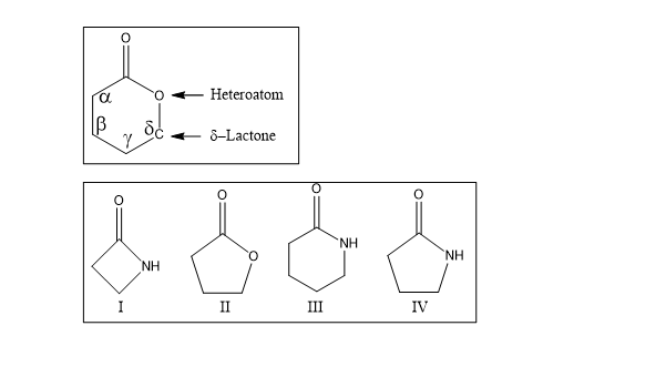 Heteroatom
8-Lactone
NH
H.
NH
I
II
III
IV
