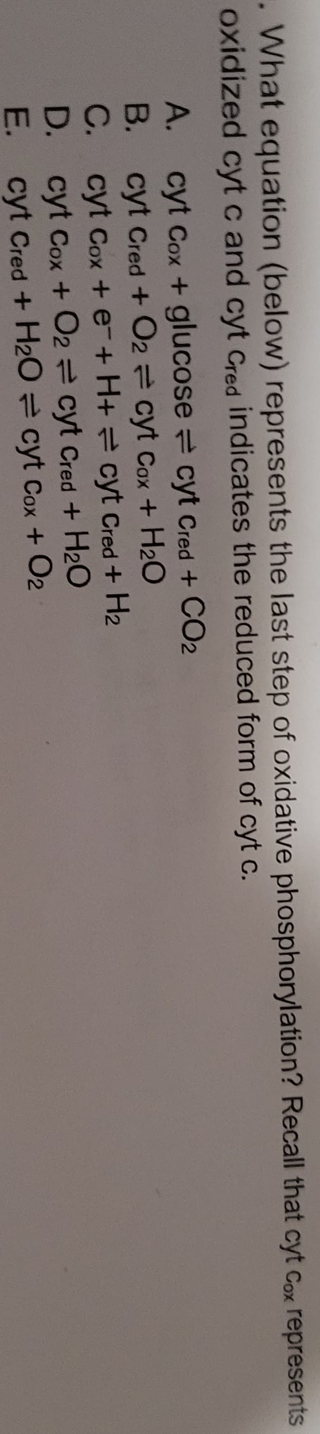 . What equation (below) represents the last step of oxidative phosphorylation? Recall that cyt Cox represents
oxidized cyt c and cyt Cred indicates the reduced form of cyt c.
A.
B.
C.
cyt Cox+ glucose cyt Cred + CO2
cyt Cred + O2 = cyt Cox + H₂O
cyt Cox + e + H+
cyt Cred + H₂
D.
cyt Cox + O2 cyt Cred + H₂O
E. cyt Cred + H₂O
cyt Cox + O2
