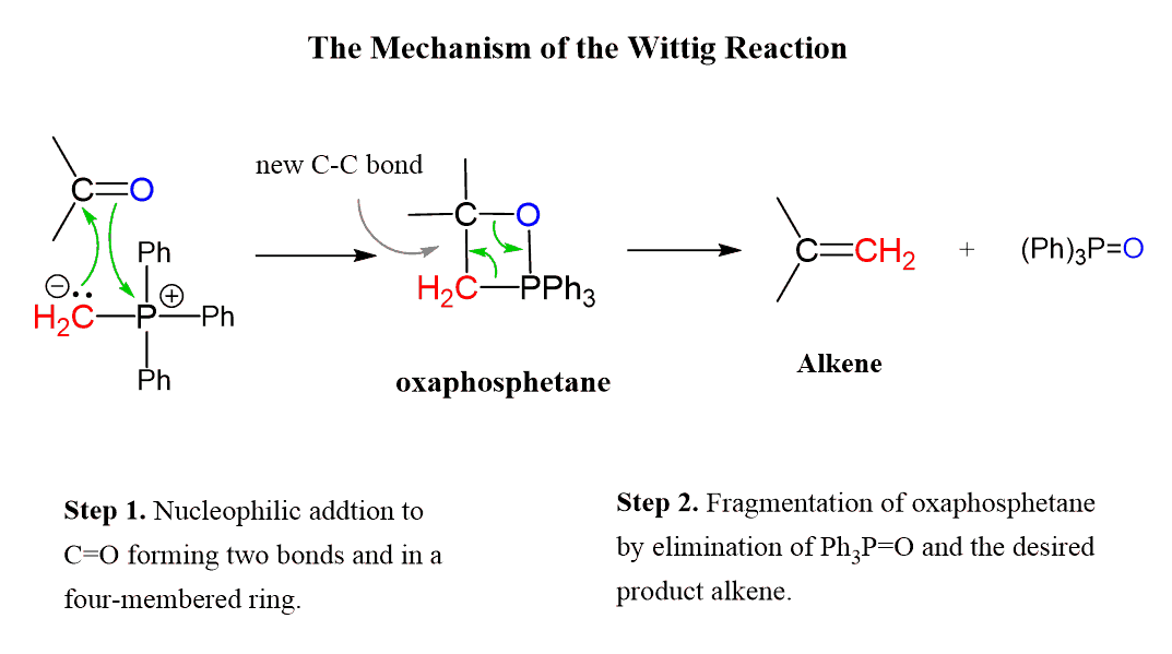 H₂
Ph
+
Ph
-Ph
The Mechanism of the Wittig Reaction
new C-C bond
H₂C-PPh3
oxaphosphetane
Step 1. Nucleophilic addtion to
C=O forming two bonds and in a
four-membered ring.
=CH₂ + (Ph)3P=O
Alkene
Step 2. Fragmentation of oxaphosphetane
by elimination of Ph3P=O and the desired
product alkene.