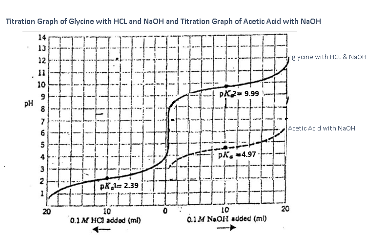 Titration Graph of Glycine with HCL and NaOH and Titration Graph of Acetic Acid with NaOH
14
TF
pX2= 9.99
H
PK 4.97.
pk 1= 2.39
IIIII
10
0.1 M HCl added (ml)
.
PH
13
12
11
ܗ ܘ
7
6
5
4
3
2
20
0
TH
10
0.1M NaOH added (ml)
glycine with HCL & NaOH
Acetic Acid with NaOH
20