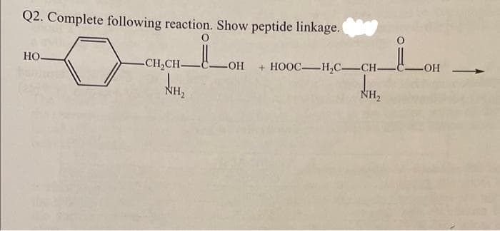 Q2. Complete following reaction. Show peptide linkage.
НО-
-CH₂CH-
NH₂
. Iܐ
-OH + HOOC-H₂C-CH-
NH
-OH
