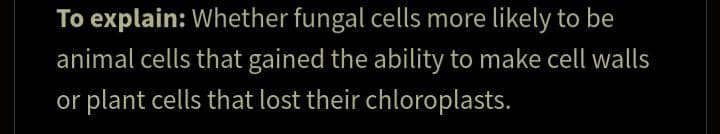 To explain: Whether fungal cells more likely to be
animal cells that gained the ability to make cell walls
or plant cells that lost their chloroplasts.