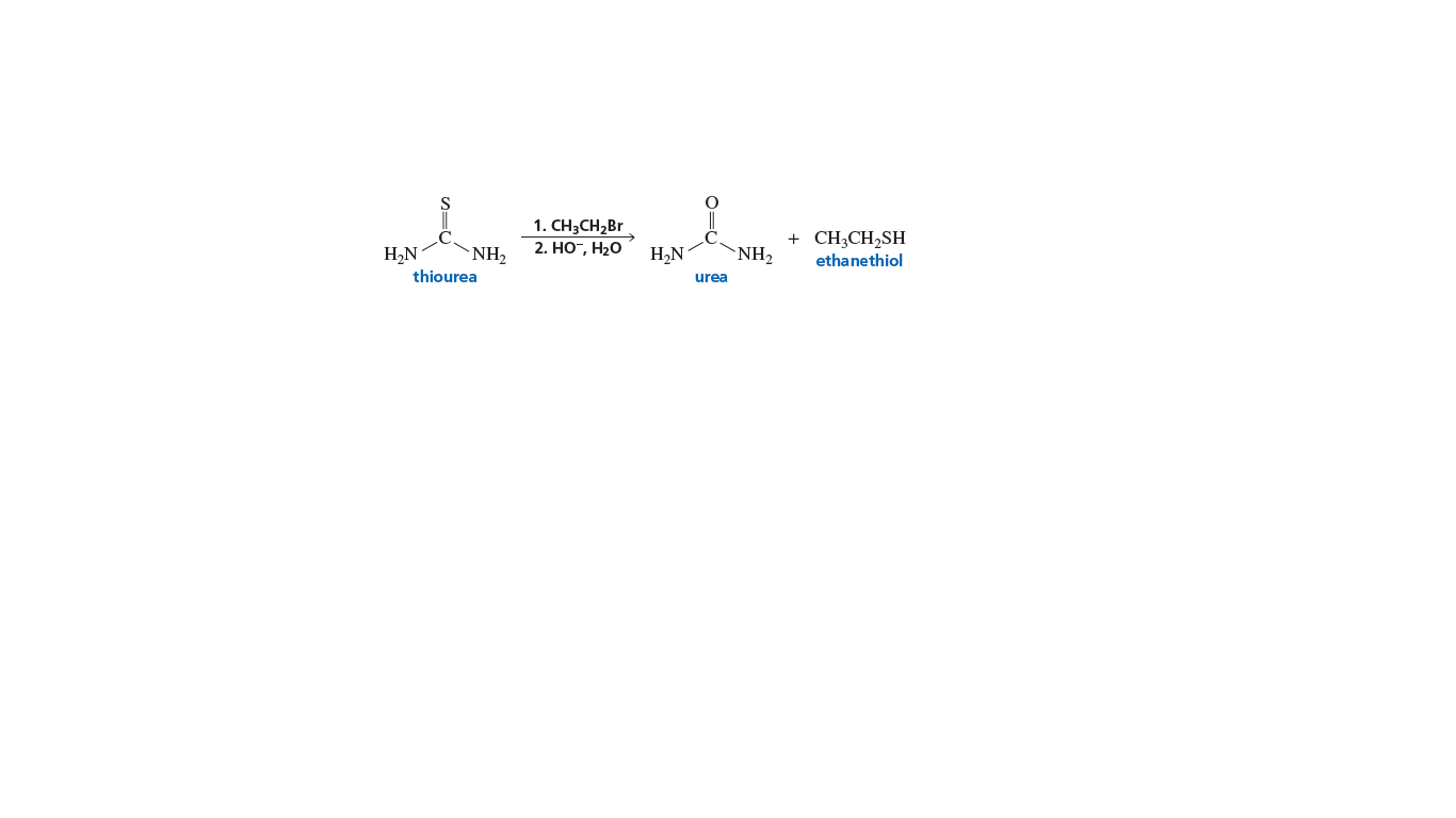 1. CH3CH2B1
CH3CH,SH
ethanethiol
+
2. НО, Н20
H,N
`NH2
thiourea
H,N
`NH,
urea
