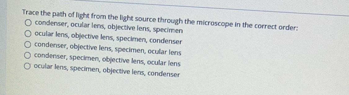 Trace the path of light from the light source through the microscope in the correct order:
O condenser, ocular lens, objective lens, specimen
ocular lens, objective lens, specimen, condenser
condenser, objective lens, specimen, ocular lens
condenser, specimen, objective lens, ocular lens
O ocular lens, specimen, objective lens, condenser
