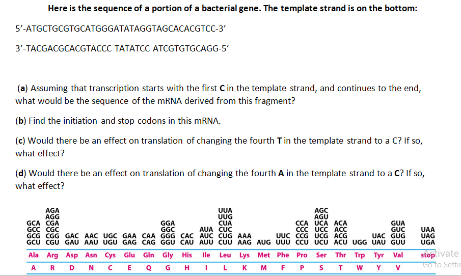 Here is the sequence of a portion of a bacterial gene. The template strand is on the bottom:
5'-ATGCTGCGTGCATGGGATATAGGTAGCACACGTCC-3'
3'-TACGACGCACGTACCC TATATCC ATCGTGTGCAGG-5'
(a) Assuming that transcription starts with the first C in the template strand, and continues to the end,
what would be the sequence of the MRNA derived from this fragment?
(b) Find the initiation and stop codons in this mRNA.
(c) Would there be an effect on translation of changing the fourth Tin the template strand to a C? If so,
what effect?
(d) Would there be an effect on translation of changing the fourth A in the template strand to a C? If so,
what effect?
AGA
AGG
GCA CGA
GCC CGC
GCG CGG GAC AAC UGC GAA CAA GGG CAC AUC CUG AAA
GCU CGU GAU AAU UGU GAG CAG GGU CAU AUU CUU AAG AUG UUU CC UCU ACU UGG UAU GUU
UUA
UUG
CUA
AUA CỤC
AGC
AGU
CCA UCA ACA
CCC UCC
UUC CCG UCG ACG
GGA
GGC
GUA
GUC
UAC GUG
UAA
UAG
UGA
Ala Arg Asp Asn Cys Glu Gln Gly His
Ile Leu Lys Met Phe Pro
Ser Thr Trp Tyr Val
stop
Go
G
H
K
F
W
Y
V

