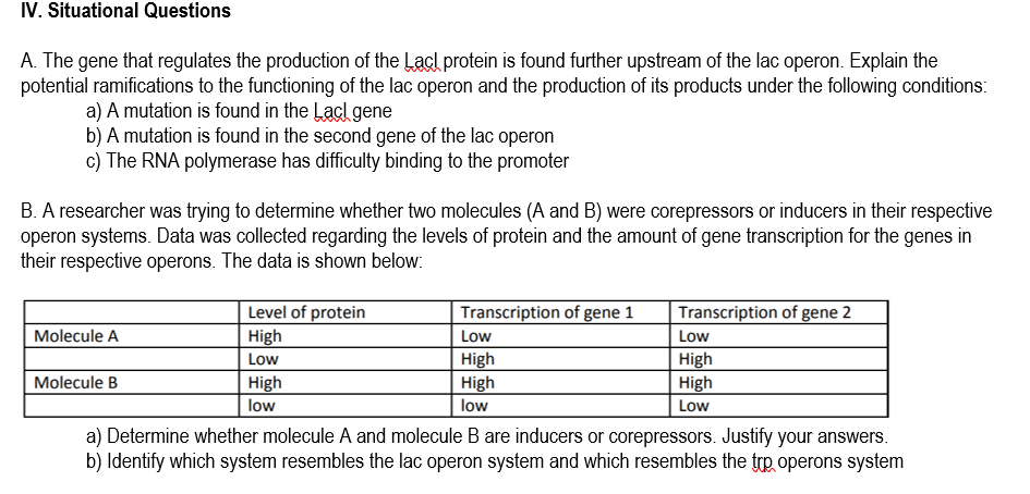 IV. Situational Questions
A. The gene that regulates the production of the Lacl protein is found further upstream of the lac operon. Explain the
potential ramifications to the functioning of the lac operon and the production of its products under the following conditions:
a) A mutation is found in the Lacl gene
b) A mutation is found in the second gene of the lac operon
c) The RNA polymerase has difficulty binding to the promoter
B. A researcher was trying to determine whether two molecules (A and B) were corepressors or inducers in their respective
operon systems. Data was collected regarding the levels of protein and the amount of gene transcription for the genes in
their respective operons. The data is shown below:
Level of protein
High
Transcription of gene 1
Transcription of gene 2
Molecule A
Low
Low
High
High
Low
High
Molecule B
High
High
low
low
Low
a) Determine whether molecule A and molecule B are inducers or corepressors. Justify your answers.
b) Identify which system resembles the lac operon system and which resembles the trp operons system
