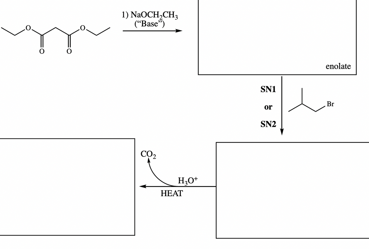 1) NaOCH₂CH₂
(‘‘Base)
CO2
H3O+
HEAT
SN1
or
SN2
enolate
مد
Br
