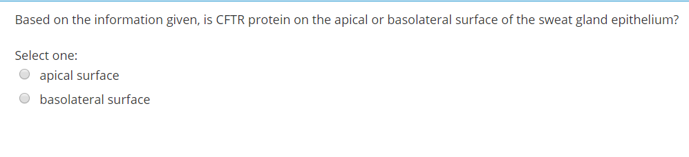 Based on the information given, is CFTR protein on the apical or basolateral surface of the sweat gland epithelium?
Select one:
O apical surface
O basolateral surface
