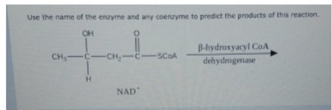 Use the name of the enzyme and any coenzyme to predict the products of this reaction.
OH
CH₂-
C
H
-CH₂
-C SCOA
NAD
B-hydroxyacyl CoA
dehydrogenase