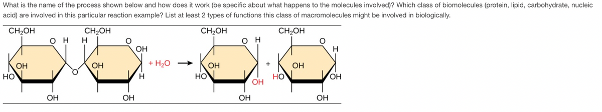 What is the name of the process shown below and how does it work (be specific about what happens to the molecules involved)? Which class of biomolecules (protein, lipid, carbohydrate, nucleic
acid) are involved in this particular reaction example? List at least 2 types of functions this class of macromolecules might be involved in biologically.
CH₂OH
CH₂OH
CH2OH
CH₂OH
НО
ОН
он
ОН
н
ОН
OH
ОН
Н
+ H2O →
HO
ОН
ОН
н
OH
+
НО
ОН
ОН
Н
ОН