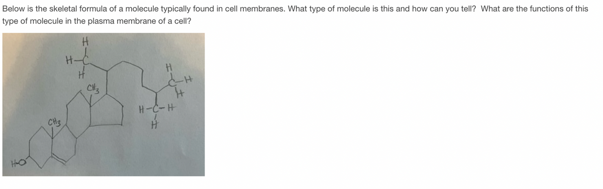Below is the skeletal formula of a molecule typically found in cell membranes. What type of molecule is this and how can you tell? What are the functions of this
type of molecule in the plasma membrane of a cell?
H
HO
CH3
CH3
C-H
+
H-C-H
H