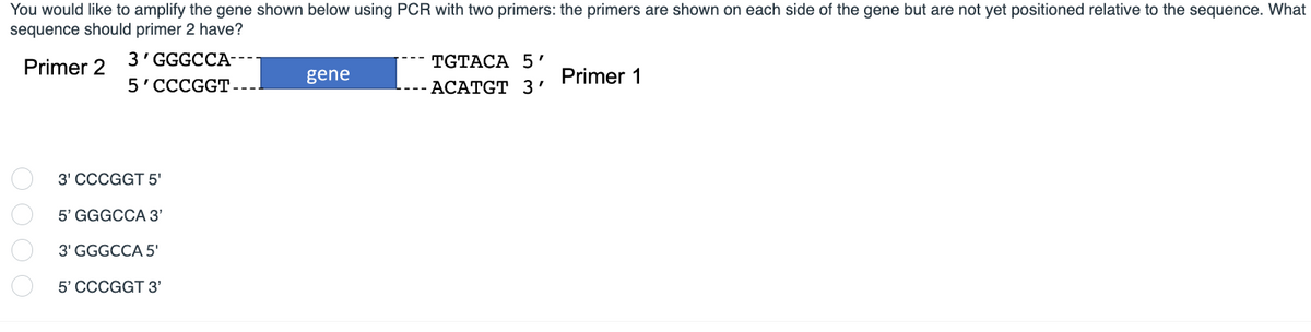 You would like to amplify the gene shown below using PCR with two primers: the primers are shown on each side of the gene but are not yet positioned relative to the sequence. What
sequence should primer 2 have?
Primer 2
0000
3'GGGCCA----
5 CCCGGT-
3' CCCGGT 5'
5' GGGCCA 3'
3' GGGCCA 5'
5' CCCGGT 3'
gene
TGTACA 5'
ACATGT 3'
Primer 1