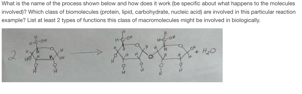 What is the name of the process shown below and how does it work (be specific about what happens to the molecules
involved)? Which class of biomolecules (protein, lipid, carbohydrate, nucleic acid) are involved in this particular reaction
example? List at least 2 types of functions this class of macromolecules might be involved in biologically.
2
-OH
H
HOH
H
OH
H-C-OH
OH
9
H
H-C-OH
H
A
9
OH
H
H₂0