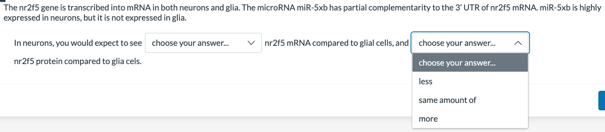 The nr2f5 gene is transcribed into mRNA in both neurons and glia. The microRNA miR-5xb has partial complementarity to the 3' UTR of nr2f5 mRNA. miR-5xb is highly
expressed in neurons, but it is not expressed in glia.
In neurons, you would expect to see
nr2f5 protein compared to glia cels.
choose your answer...
nr2f5 mRNA compared to glial cells, and
choose your answer...
choose your answer...
less
same amount of
more