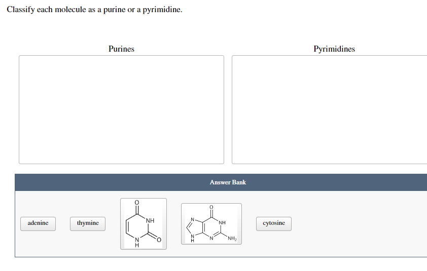 Classify each molecule as a purine or a pyrimidine.
adenine
thymine
Purines
NH
Answer Bank
NH
NH₂
cytosine
Pyrimidines