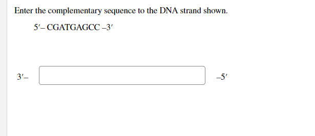 Enter the complementary sequence to the DNA strand shown.
5'-CGATGAGCC-3'
3'-
-5'