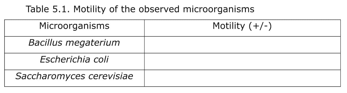 Table 5.1. Motility of the observed microorganisms
Microorganisms
Motility (+/-)
Bacillus megaterium
Escherichia coli
Saccharomyces cerevisiae