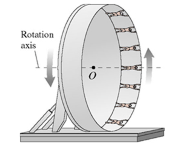 Rotation
axis