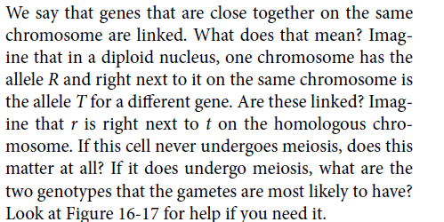 We say that genes that are close together on the same
chromosome are linked. What does that mean? Imag-
ine that in a diploid nucleus, one chromosome has the
allele R and right next to it on the same chromosome is
the allele T for a different gene. Are these linked? Imag-
ine that r is right next to t on the homologous chro-
mosome. If this cell never undergoes meiosis, does this
matter at all? If it does undergo meiosis, what are the
two genotypes that the gametes are most likely to have?
Look at Figure 16-17 for help if you need it.
