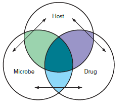 Host
Drug
Microbe
