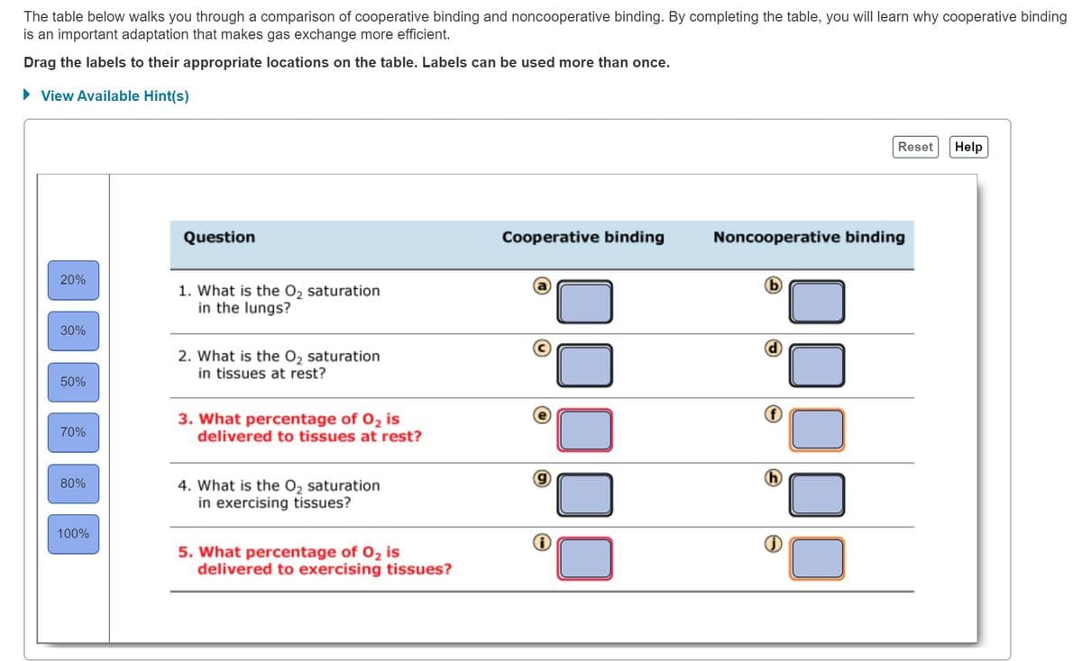 The table below walks you through a comparison of cooperative binding and noncooperative binding. By completing the table, you will learn why cooperative binding
is an important adaptation that makes gas exchange more efficient.
Drag the labels to their appropriate locations on the table. Labels can be used more than once.
► View Available Hint(s)
20%
30%
50%
70%
80%
100%
Question
1. What is the O₂2 saturation
in the lungs?
2. What is the O₂ saturation
in tissues at rest?
3. What percentage of O₂ is
delivered to tissues at rest?
4. What is the O₂ saturation
in exercising tissues?
5. What percentage of O₂ is
delivered to exercising tissues?
Cooperative binding
Reset Help
Noncooperative binding