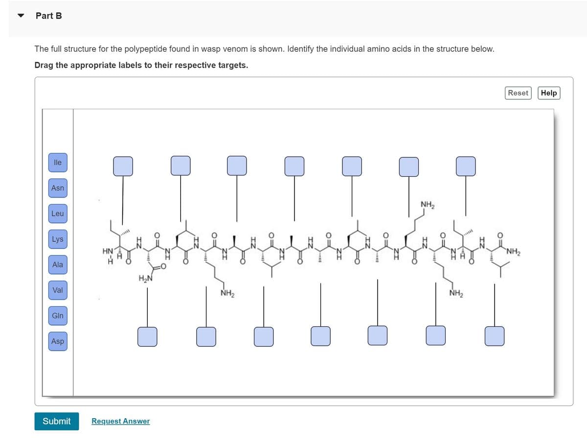 Part B
The full structure for the polypeptide found in wasp venom is shown. Identify the individual amino acids in the structure below.
Drag the appropriate labels to their respective targets.
lle
Asn
Leu
Lys
Ala
Val
Gln
Asp
Submit
HN
****
H₂N
Request Answer
NH₂
TI
NH₂
0=
16
NH₂
Reset Help
NH₂