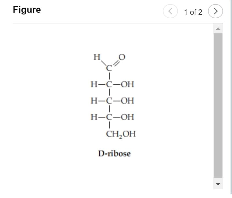 Figure
H
H-C-OH
I
H-C-OH
I
H-C-OH
I
CH₂OH
D-ribose
<
1 of 2
>
▶
