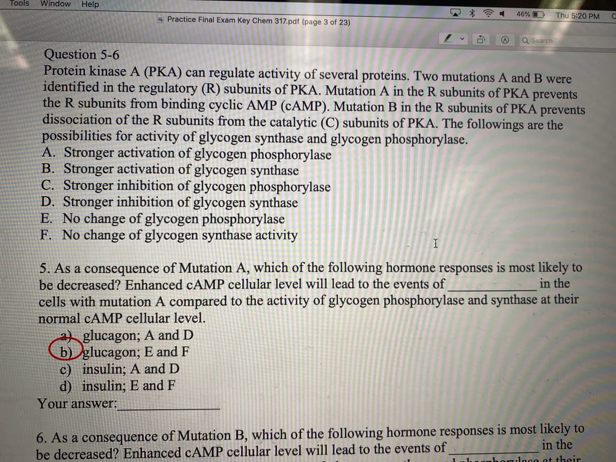 Tools
Window
Help
a Practice Final Exam Key Chem 317.pdf (page 3 of 23)
46% O
Thu 5:20 PM
Q Search
Question 5-6
Protein kinase A (PKA) can regulate activity of several proteins. Two mutations A andB were
identified in the regulatory (R) subunits of PKA. Mutation A in the R subunits of PKA prevents
the R subunits from binding cyclic AMP (CAMP). Mutation B in the R subunits of PKA prevents
dissociation of the R subunits from the catalytic (C) subunits of PKA. The followings are the
possibilities for activity of glycogen synthase and glycogen phosphorylase.
A. Stronger activation of glycogen phosphorylase
B. Stronger activation of glycogen synthase
C. Stronger inhibition of glycogen phosphorylase
D. Stronger inhibition of glycogen synthase
E. No change of glycogen phosphorylase
F. No change of glycogen synthase activity
5. As a consequence of Mutation A, which of the following hormone responses is most likely to
be decreased? Enhanced CAMP cellular level will lead to the events of
cells with mutation A compared to the activity of glycogen phosphorylase and synthase at their
in the
normal cAMP cellular level.
glucagon; A and D
b) glucagon; E and F
c) insulin; A and D
d) insulin; E and F
Your answer:
6. As a consequence of Mutation B, which of the following hormone responses is most likely to
be decreased? Enhanced cAMP cellular level will lead to the events of
in the
houlone at their
