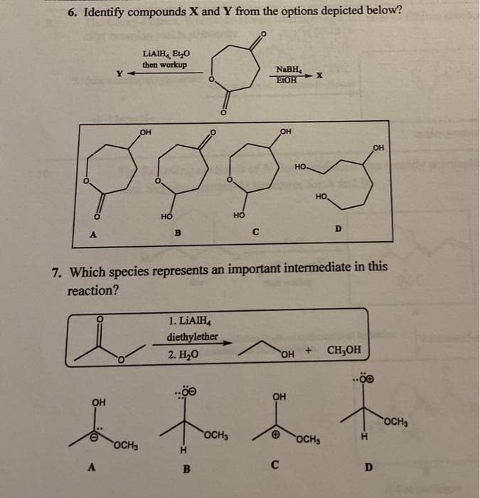 6. Identify compounds X and Y from the options depicted below?
LIAIH, EtO
then workup
NABH,
ELOH
Y
OH
OH
но-
но,
но
но
B.
7. Which species represents an important intermediate in this
reaction?
1. LIAIH,
diethylether
2. Н-О
HO,
CH,OH
OH
OH
OCH3
OCH3
OCH3
OCH3
D
