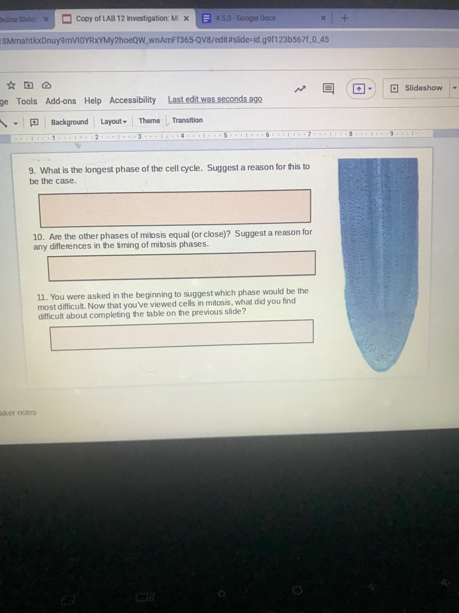 Online Slides x
O Copy of LAB 12 Investigation: Mi x
E 4.5.3 - Google Docs
SMmahtkxDnuy9mVIOYRXYMy2hoeQW_wnAmFf365-QV8/edit#slide%-id.g9f123b567f_0_45
O Slideshow
ge Tools Add-ons Help Accessibility Last edit was seconds ago
Background
Layout-
Theme
Transition
8 9.
1. t 2 1 3 lL 4 5 6 I 7
9. What is the longest phase of the cell cycle. Suggest a reason for this to
be the case.
10. Are the other phases of mitosis equal (or close)? Suggest a reason for
any differences in the timing of mitosis phases.
11. You were asked in the beginning to suggest which phase would be the
most difficult. Now that you've viewed cells in mitosis, what did you find
difficult about completing the table on the previous slide?
aker notes
