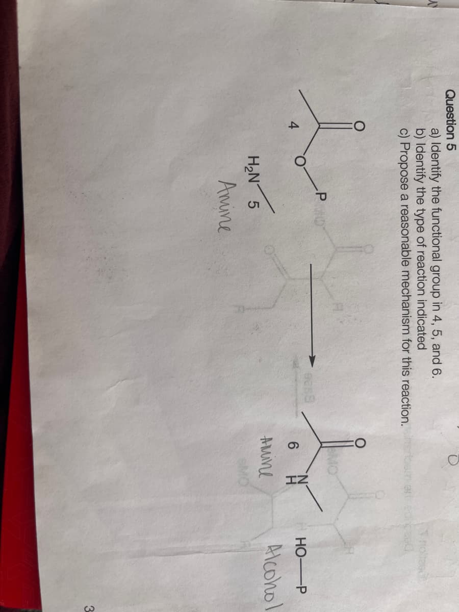 Question 5
a) Identify the functional group in 4, 5, and 6.
b) Identify the type of reaction indicated
c) Propose a reasonable mechanism for this reaction.insp
4
P
H₂N 5
Amine
a
9258
6
алипе
Trolize
eredicaad
HO P
Alcoho