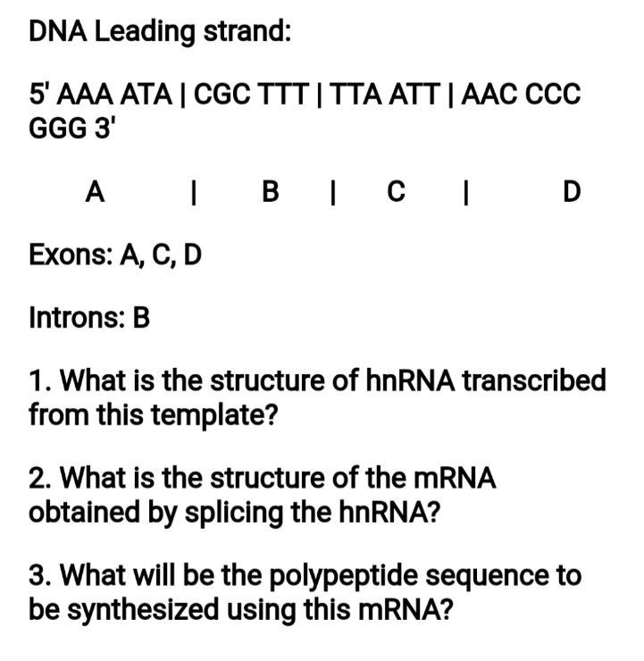 DNA Leading strand:
5' AAA ATA | CGC TTT| TTA ATT | AAC CCC
GGG 3'
A I B IC| D
Exons: A, C, D
Introns: B
1. What is the structure of hnRNA transcribed
from this template?
2. What is the structure of the MRNA
obtained by splicing the hnRNA?
3. What will be the polypeptide sequence to
be synthesized using this mRNA?
