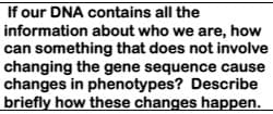 If our DNA contains all the
information about who we are, how
can something that does not involve
changing the gene sequence cause
changes in phenotypes? Describe
briefly how these changes happen.
