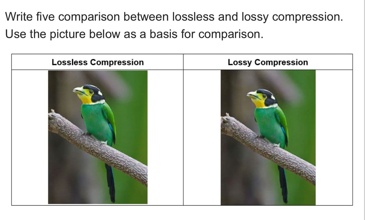 Write five comparison between lossless and lossy compression.
Use the picture below as a basis for comparison.
Lossless Compression
Lossy Compression
