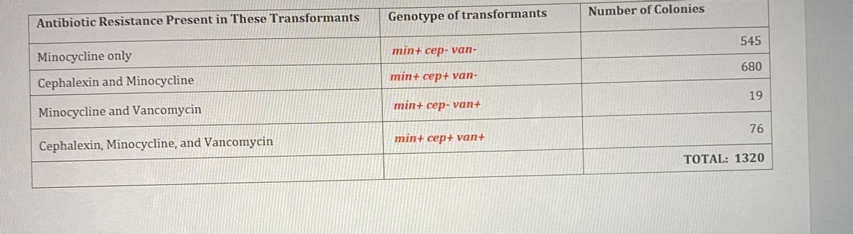 Antibiotic Resistance Present in These Transformants
Minocycline only
Cephalexin and Minocycline
Minocycline and Vancomycin
Cephalexin, Minocycline, and Vancomycin
Genotype of transformants
min+ cep-van-
min+ cep+ van-
min+ cep-van+
min+ cep+ van+
Number of Colonies
545
680
19
76
TOTAL: 1320