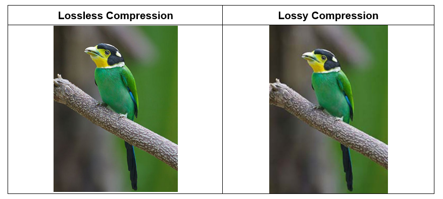 Lossless Compression
Lossy Compression
