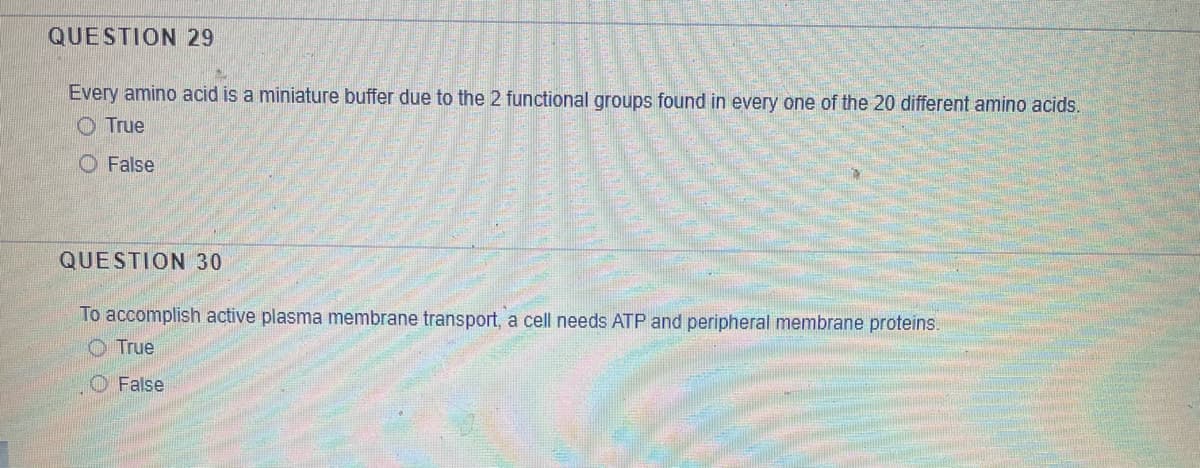 QUESTION 29
Every amino acid is a miniature buffer due to the 2 functional groups found in every one of the 20 different amino acids.
O True
O False
QUESTION 30
To accomplish active plasma membrane transport, a cell needs ATP and peripheral membrane proteins.
O True
O False
