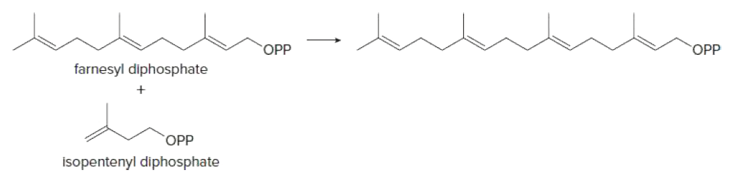 OPP
OPP
farnesyl diphosphate
OPP
isopentenyl diphosphate
